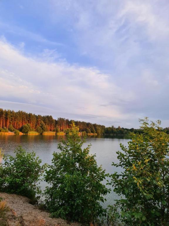 Agroturystyka U Siwego Rokitki  Exterior foto