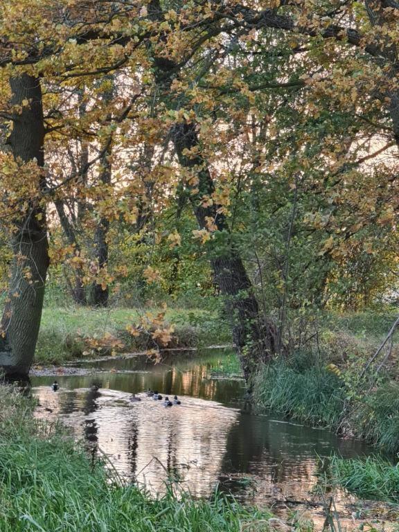 Agroturystyka U Siwego Rokitki  Exterior foto